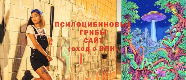 jwh Белокуриха