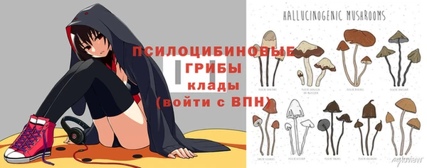 jwh Белокуриха
