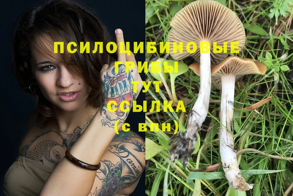 Альфа ПВП Белоозёрский