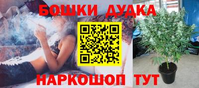 кокаин VHQ Гатчина