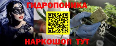 мдпв Берёзовский