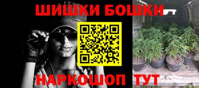 гашик Гай