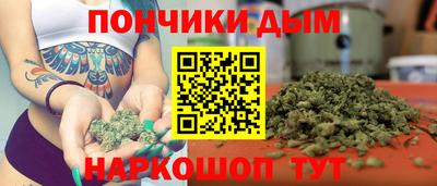 spice Гагарин