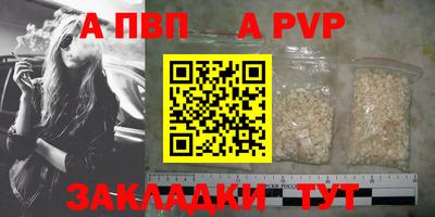гашик Гай