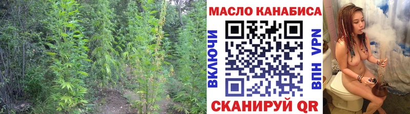 закладки  Городец  ТГК концентрат 
