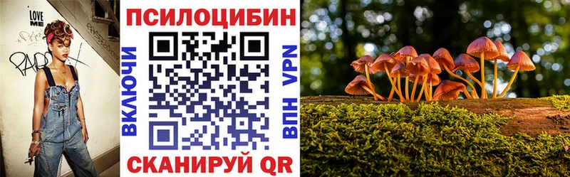 Галлюциногенные грибы Cubensis  Городец 