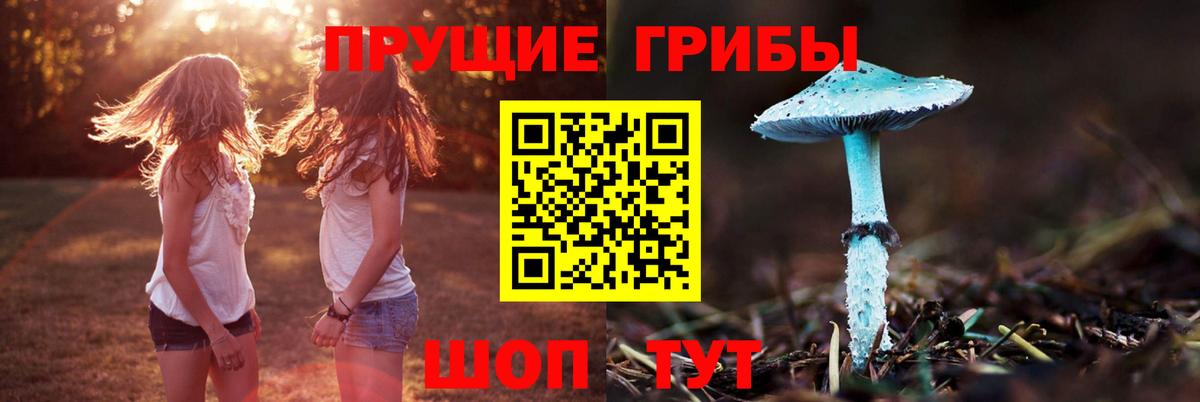 Псилоцибиновые грибы мицелий  Вход с VPN  где купить   Городец  Галлюциногенные грибы Psilocybine cubensis 
